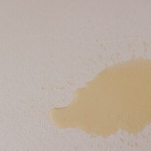 Water spilled on waterproof mattress protector.