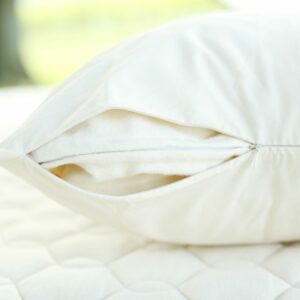 Organic Allergy Pillow Cover