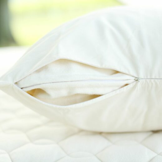 Organic Allergy Pillow Cover