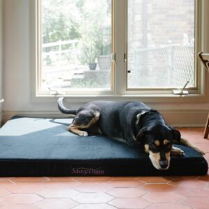 Dog lounging on black Savvy Doggy pet bed.