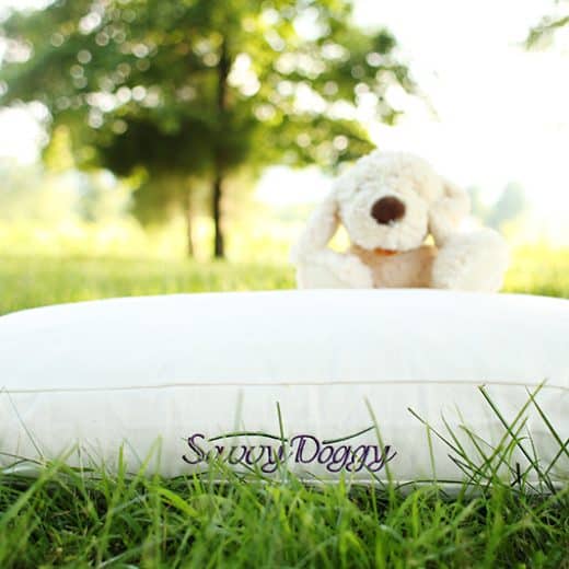 The Savvy Doggy™ - Image 7