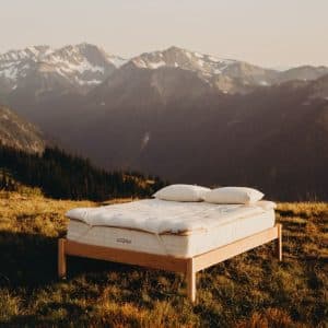 Wool Bedding Bundle - cozy pillows, natural Savvy Woolsy mattress topper