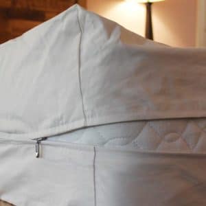 Organic Allergy Mattress Cover/Encasement