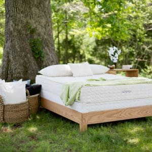 Serenity organic latex mattress from Savvy Rest