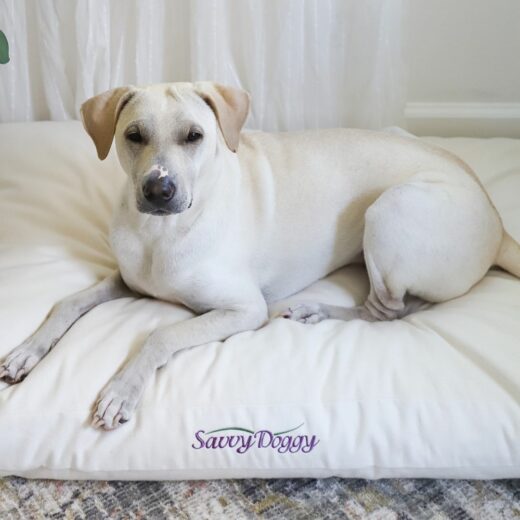 Pet Bed Cover - Image 2